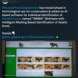 SIMBA Dashboard